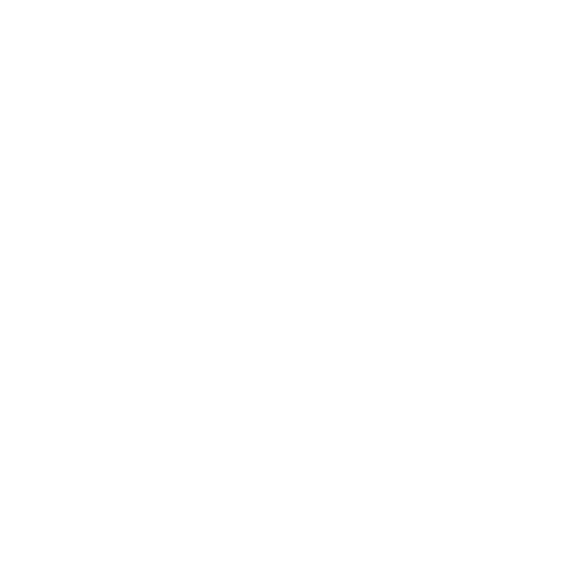 Facebook Icon White